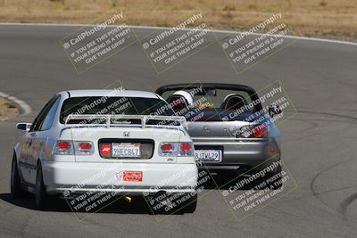 media/Nov-03-2023-Club Racer Events (Fri) [[fd9eff64e3]]/Green/Back Shots/